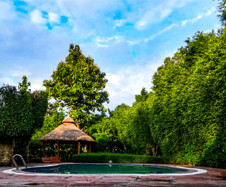 Corbett Machaan Resort