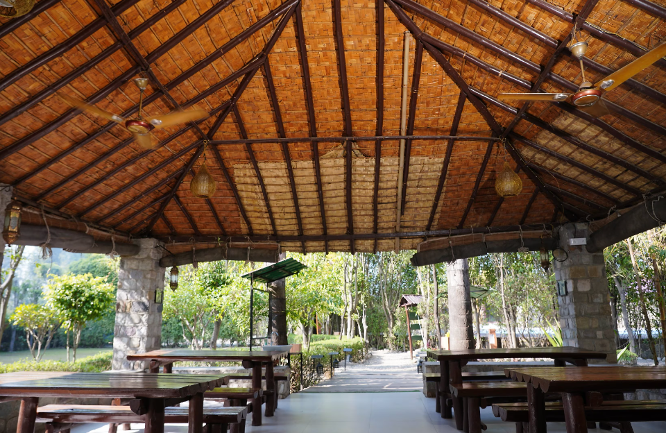 Corbett Machaan Resort