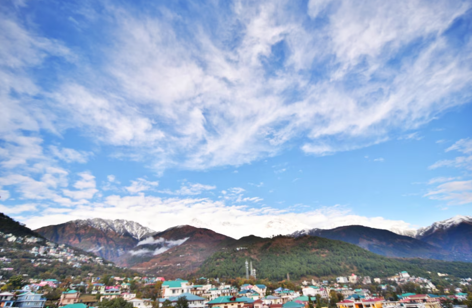 DHAULADHAR HILLS RESORT
